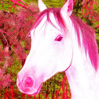 bryannareilly thumbnail