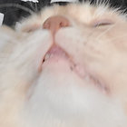 rainbow_garbage thumbnail