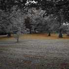 ranthe1 thumbnail