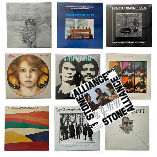 Stone Alliance LPレコード 国内盤 ECモール