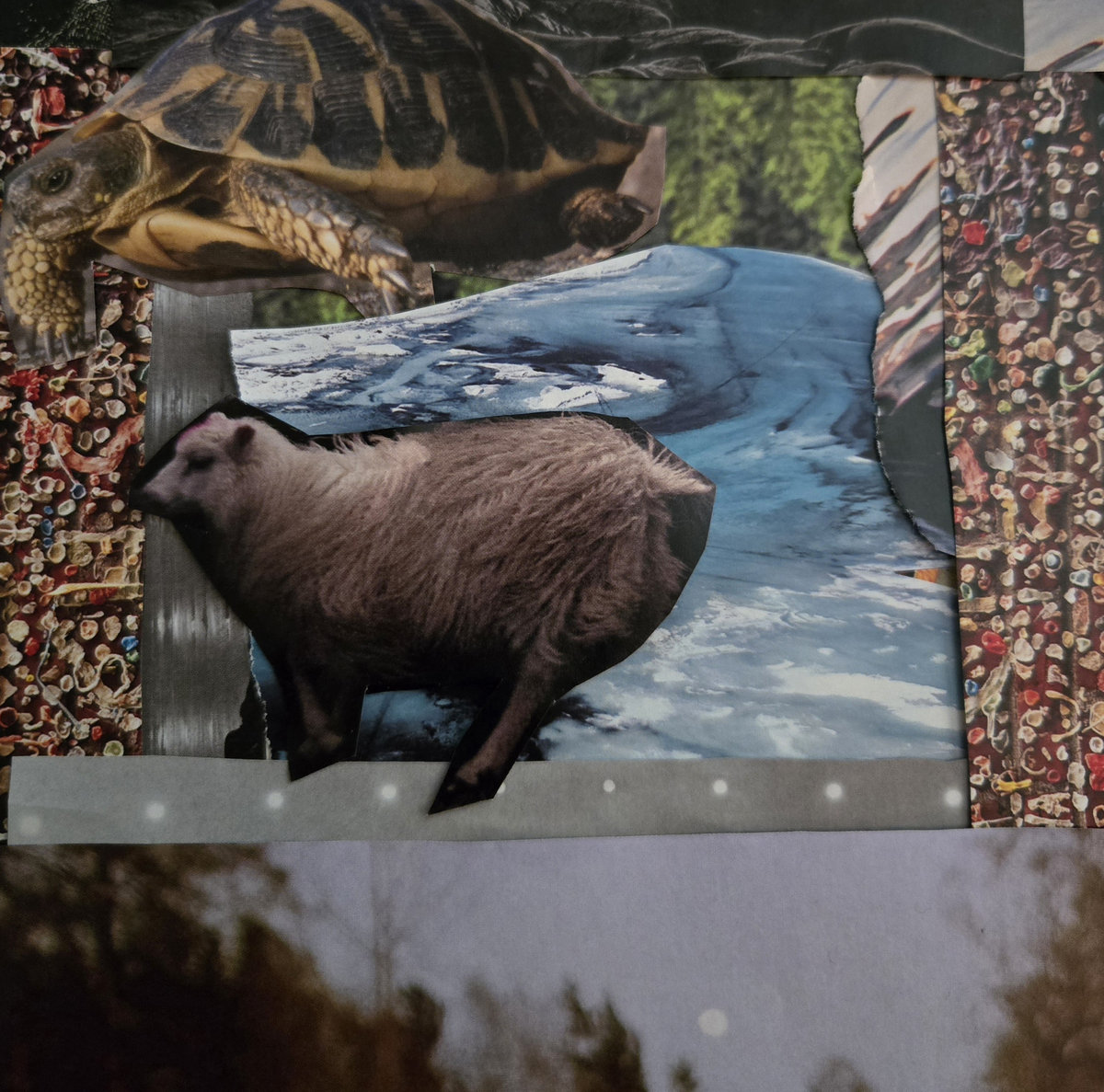 how to set a fire and why i don't care if i go blind reflect the sun