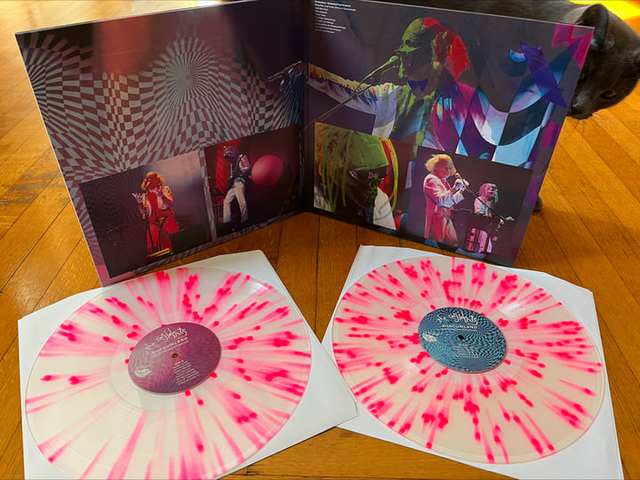 The Residents - Shadowland: Live In Fribourg 1-30-2016 (SR43