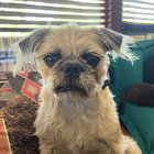 Mazzy's Mom thumbnail