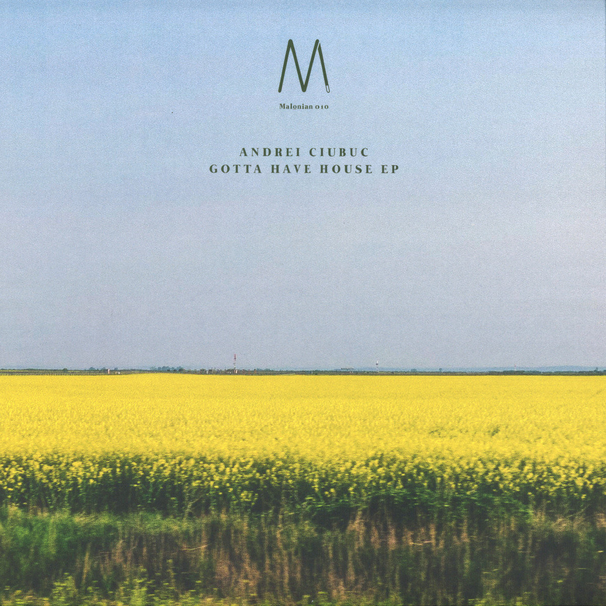 Andrei Ciubuc / Gotta Have House EP Andrei Ciubuc / Gotta Have House EP