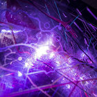 Lysergicka thumbnail