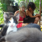 toitoi thumbnail