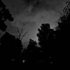 apache_00 thumbnail