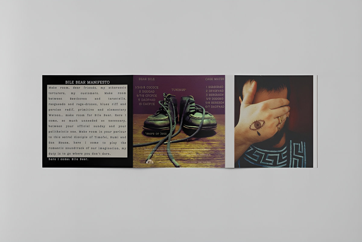 Howl (poem) - Wikipedia, image size:1200x802