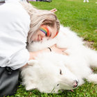 laurine bd thumbnail
