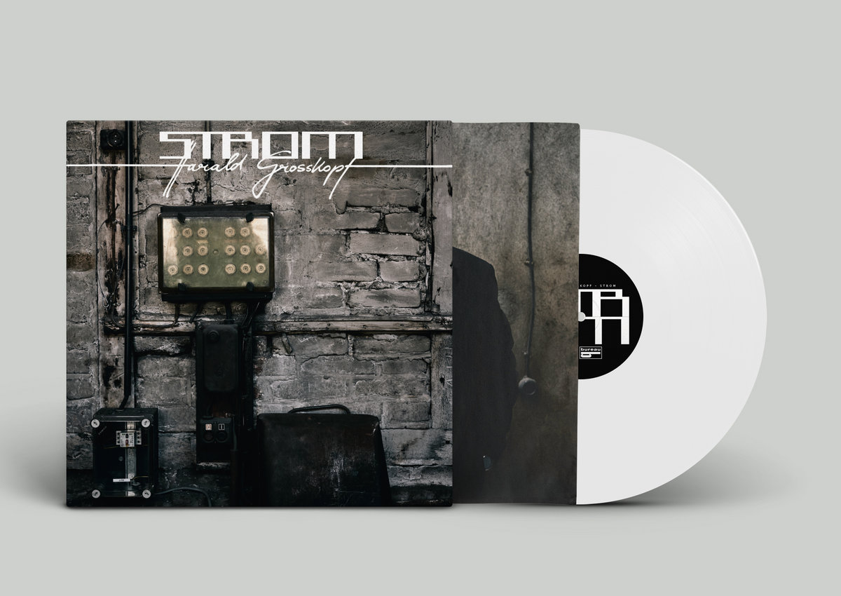 HARALD GROSSKOPF : Strom - LP - BUREAU B - Forced Exposure