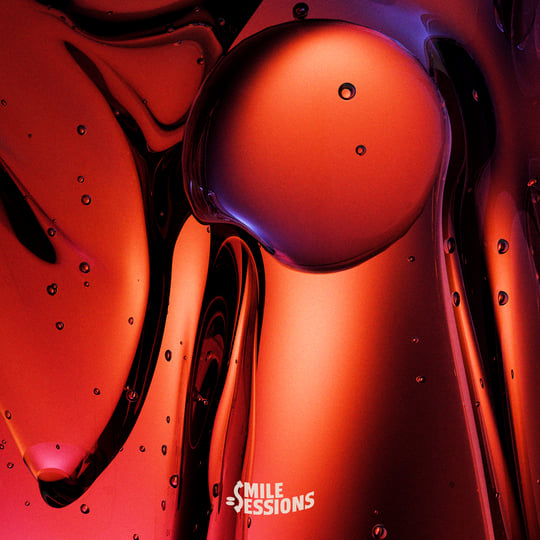 SMILE SESSIONS 007 | Various Artists - Workout Sessions Vol. 2