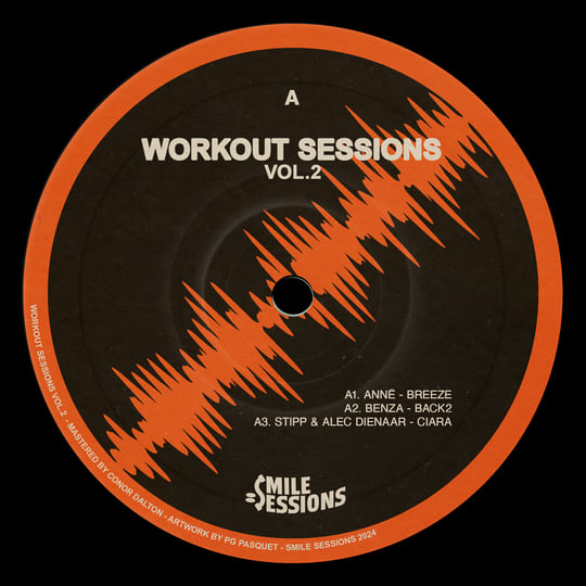 SMILE SESSIONS 007 | Various Artists - Workout Sessions Vol. 2