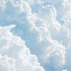 soph13_x thumbnail