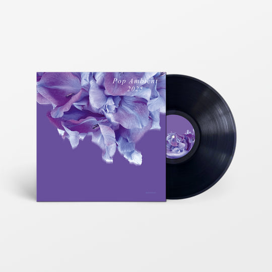 Pop Ambient 2025 | Various Artists | Kompakt
