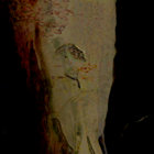 Abolith thumbnail
