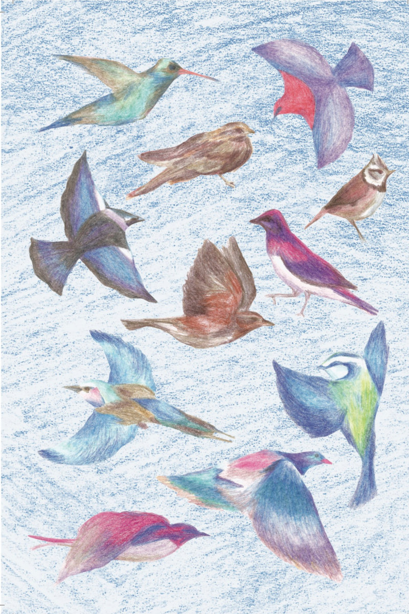 In My Dreams (I'm A Bird And I'm Free) | Auntie Flo | A
