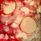 erinbehrens thumbnail