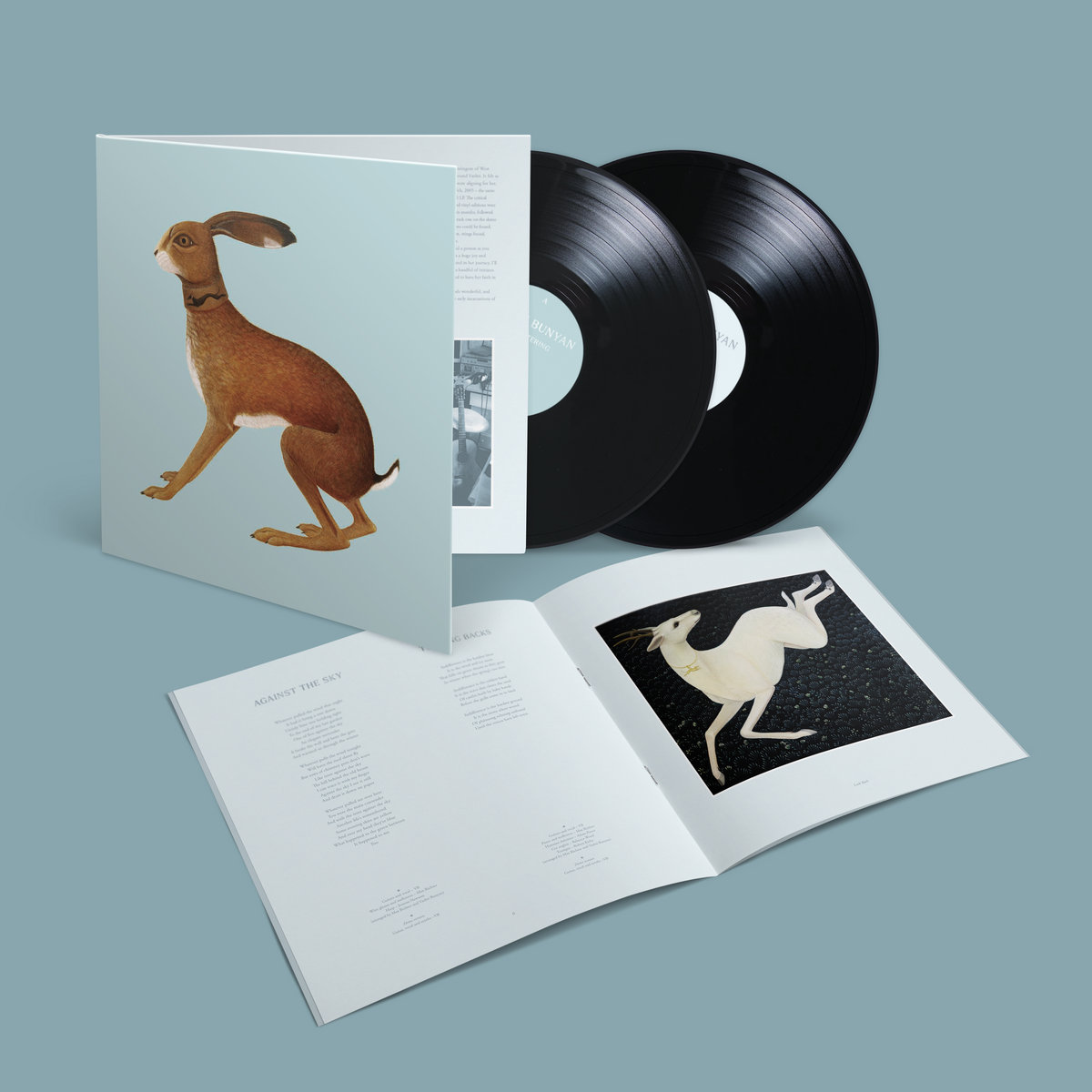 VASHTI BUNYAN / ヴァシュティバニヤン「LOOKAFTERING」 BUNYAN,VASHTI - Lookaftering - Amazon.com Music