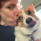 b_stodd thumbnail