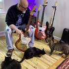 Rex Shepherd thumbnail