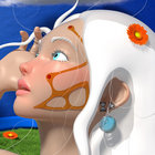 nicoleruggiero thumbnail