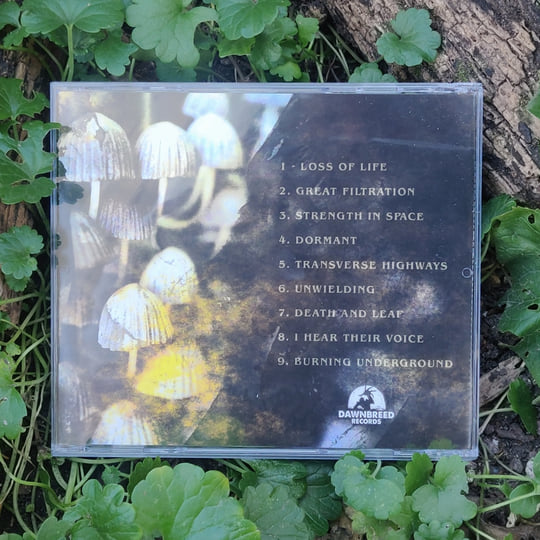 【CD】FILTERED;TheBestOfFilteredDance FILTER Welcome To The Fold CD Limited Numbered Edition MINT