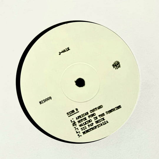 Broken Beauty | J-Walk