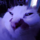 e4rthmov3r thumbnail