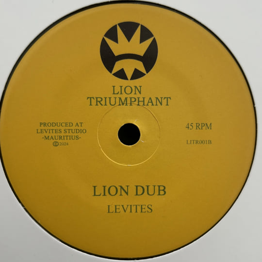 Lion (Tribute to Shaka) | Levites | Partial Records