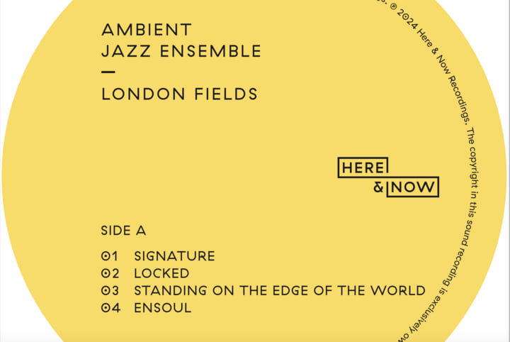 Ambient Balearic World Jazz LPレコード17枚 London Fields | Ambient Jazz Ensemble