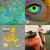 lnj thumbnail