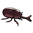 humeridens thumbnail