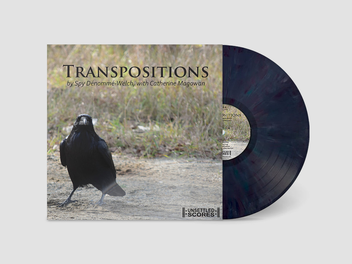 Transpositions | Spy Dénommé-Welch, Catherine Magowan