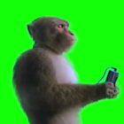 rachelthorpe thumbnail