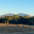 vantrees thumbnail