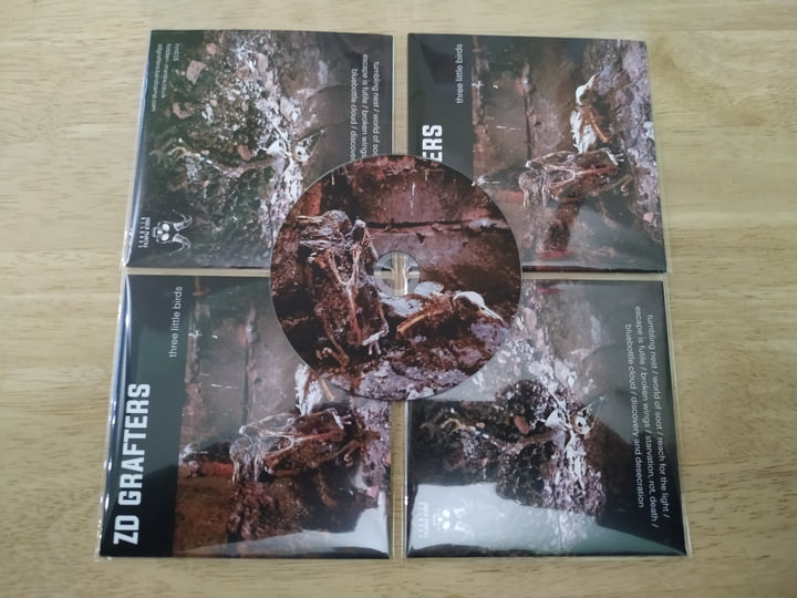 bird CDアルバム8枚& Tina CDアルバム4枚セット(未開封品11枚) bird CDアルバム8枚& Tina CDアルバム4枚セット(未開封品11