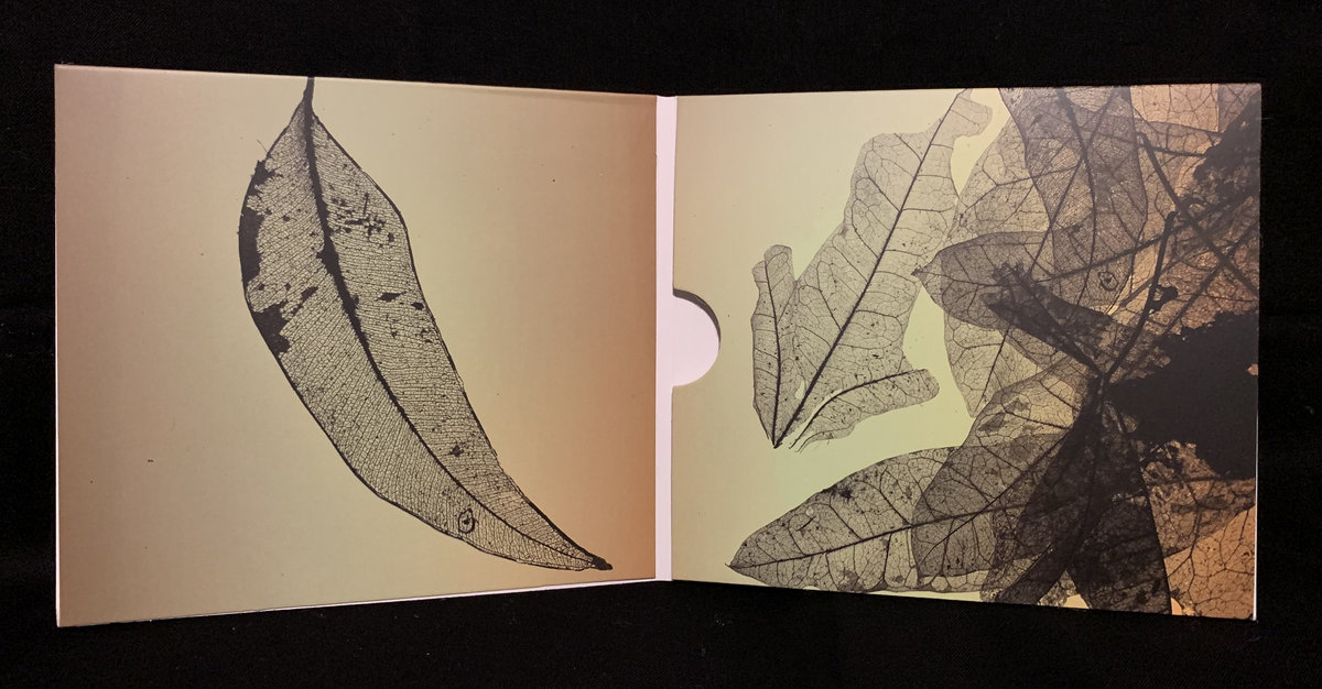 There's always music | Rhys Butler & Naoto Yamagishi | Naoto Yamagishi
