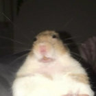 Gherb57 thumbnail