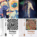 Carousel (An Examination of the Shadow, Creekflow, and its Life as