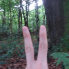 dndr thumbnail