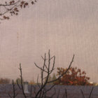 Emmerich thumbnail