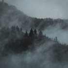 Appalachian Threnodist thumbnail