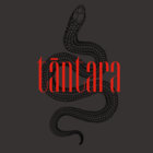 TĀNTARA thumbnail