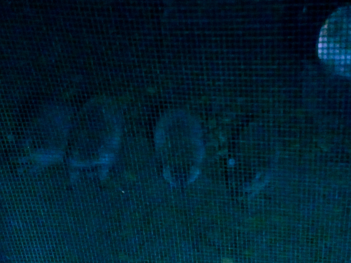 Domestic Face Escalator Teeth