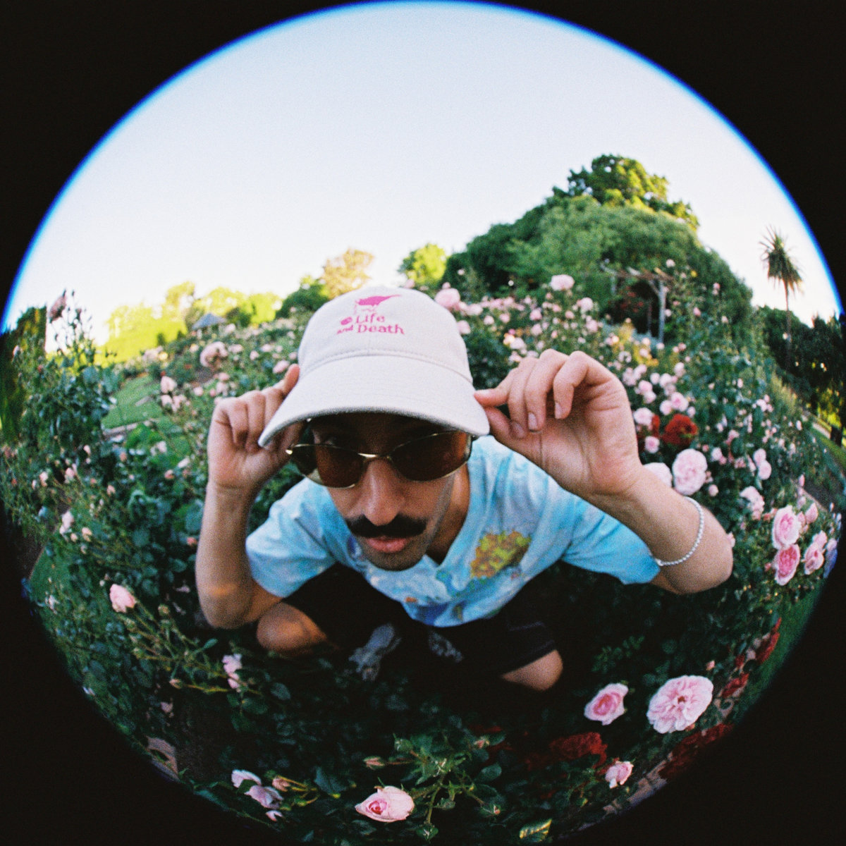 Scuze Me | Luke Alessi