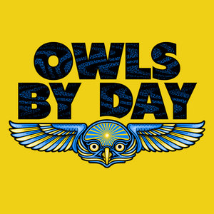 Owls By Day