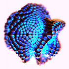 Getting Wiser thumbnail
