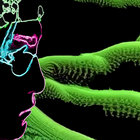 Frictional Nirvana thumbnail