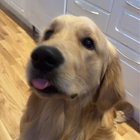 gluugle thumbnail