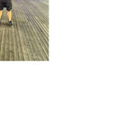 Kolo  thumbnail
